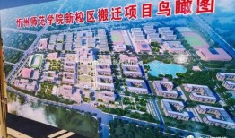 忻州师院爆料视频大全集,揭秘校园风云录